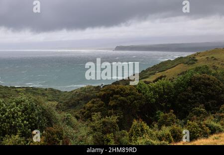 La végétation typique de l'île de Chiloe, Chili Banque D'Images