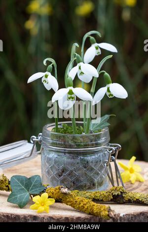gouttes de neige en verre comme décoration florale de printemps Banque D'Images