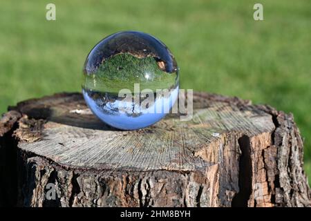 Concept d'environnement, une boule de cristal se trouve sur un tronc d'arbre, reflet du paysage. Concept et thème de la nature, protection de l'environnement Banque D'Images