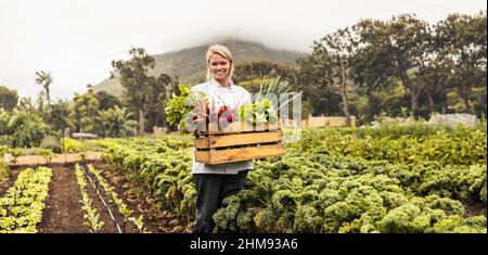 Transporter des légumes frais de la ferme à la table. Jeune chef gai souriant à l'appareil tout en portant une caisse pleine de légumes fraîchement cueillis Banque D'Images