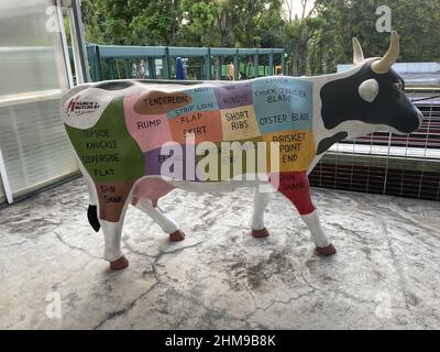 Coupes de viande de bœuf pour les steaks Banque D'Images