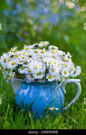 Bouquet de fleurs dans un pot à lait bleu Banque D'Images