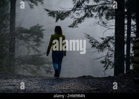 Une femme comme un fantôme marche à travers la forêt brumeuse, la peur et le mystère du brouillard dans les bois, marcher dans le brouillard. Banque D'Images