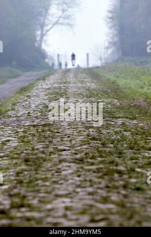 la troue d'arenberg - la tranchée d'Arenberg Banque D'Images