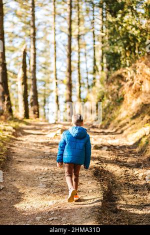 Vue arrière d'un enfant méconnaissable en vêtements d'extérieur marchant le long d'un chemin dans les bois le jour ensoleillé de la saison d'automne Banque D'Images