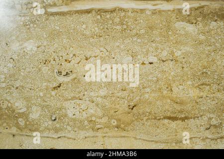 Texture en pierre de marbre blanche ou beige, principalement utilisée dans les intérieurs de la maison coin salon, sous-sols en marbre Banque D'Images