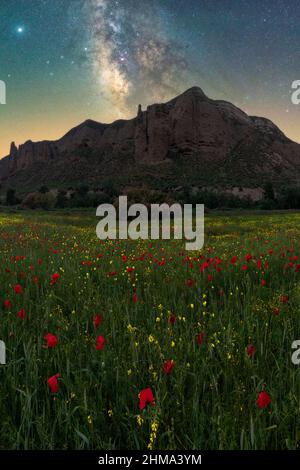 Des fleurs colorées poussent dans un champ herbacé contre une falaise rocheuse et un ciel étoilé avec une manière laiteuse au ciel ensoleillé dans la nature Banque D'Images