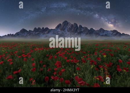 Les coquelicots poussent dans un champ herbacé contre une falaise rocheuse agitée et un ciel étoilé de manière laiteuse la nuit dans la nature Banque D'Images