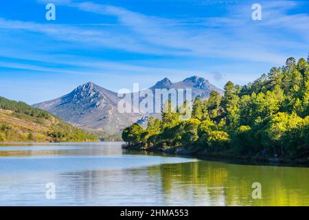 Rivière ondulée qui coule dans la forêt avec des arbres verts luxuriants contre le ciel bleu et la crête de montagne le jour ensoleillé d'été dans la nature Banque D'Images