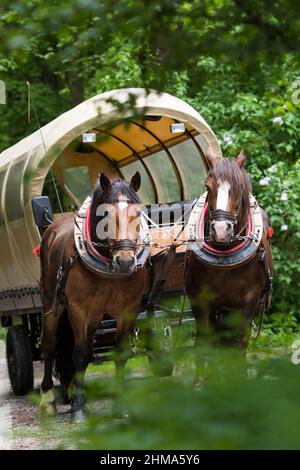 Excursion avec le chariot couvert Banque D'Images