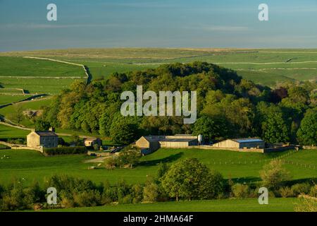 Ancienne ferme et dépendances dans la campagne pittoresque de Yorkshire Dales (collines ondulantes, moutons dans les champs, murs en pierre sèche) - Burnsall, Angleterre. Banque D'Images