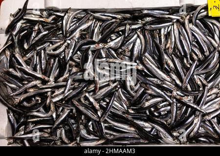 Anchois frais de la mer Noire (Karadeniz hamsi) en vente sur un marché de poissons à Istanbul, Turquie Banque D'Images