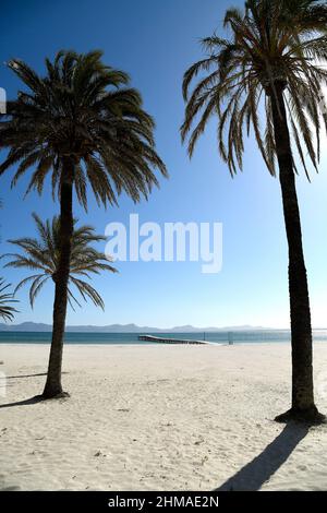 Plage d'Alcúdia, Majorque. Banque D'Images