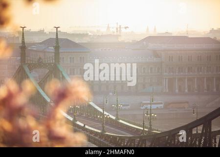 Magnifique pont Liberty au lever du soleil avec fleurs de cerisier à Budapest, Hongrie, Europe. Le printemps est arrivé à Budapest. Banque D'Images