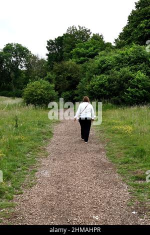 Salisbury, Angleterre - juin 2021 : personne marchant sur une piste de campagne à travers une zone boisée Banque D'Images