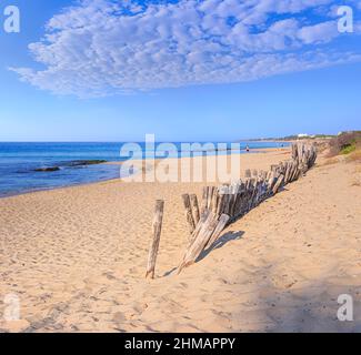 L'été: Clôture sur la plage de Puglia, Italie: La plage de sable de San Pietro à Bevagna, une oasis naturelle en face de la mer Ionienne bleue,. Banque D'Images