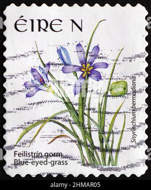 IRLANDE - VERS 2007: Un timbre imprimé en Irlande montre l'herbe à yeux bleus, sisyrinchium bermudiana, est une plante à fleurs qui est indigène à l'Atlant Banque D'Images