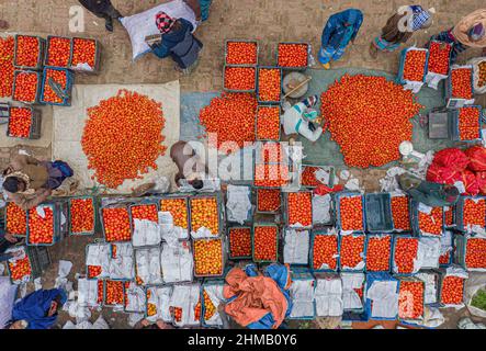 Les agriculteurs trient et embalent des tomates rouges fraîches brutes pour la vente. Banque D'Images
