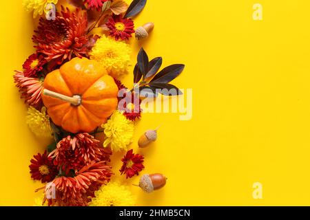 Belle composition avec fleurs de chrysanthème, potiron et acornes sur fond jaune, gros plan Banque D'Images