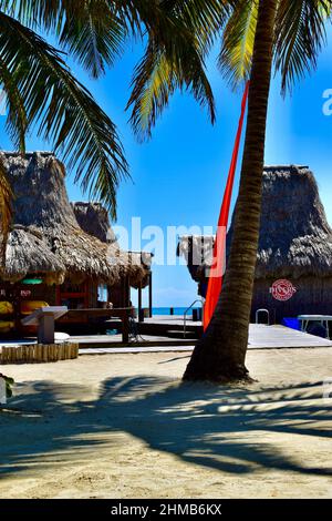 Un complexe de plage sur le thème de la polynésienne à San Pedro, Belize. Des cabanes tiki de style tahitien bordent un quai. Banque D'Images