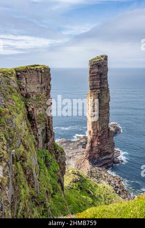 Old Man of Hoy vu du nord, Isle of Hoy, Orkney, Écosse, Royaume-Uni Banque D'Images