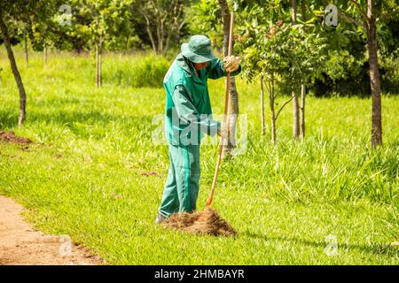 Goias, Brésil – 18 janvier 2022 : un professionnel de la mairie qui effectue l'entretien des pelouses dans un parc public. Banque D'Images