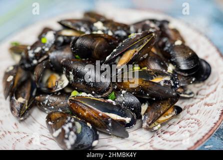 ​​mussels de mer dans une sauce crémeuse dans une assiette en gros plan Banque D'Images