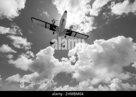 Petit avion qui débouche sur la plage touristique de Maho à Sint Marteen, Antilles néerlandaises Banque D'Images