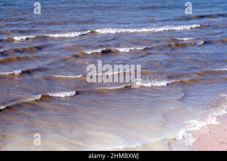 Les vagues se délavent le long des rives du lac Michigan, au Michigan, aux États-Unis Banque D'Images