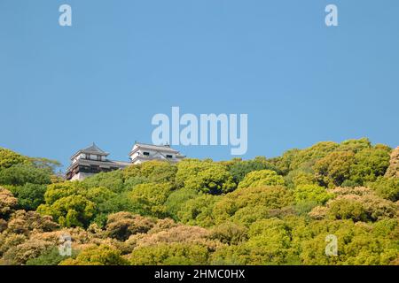 Château de Matsuyama sur la montagne à Ehime, Shikoku, Japon Banque D'Images