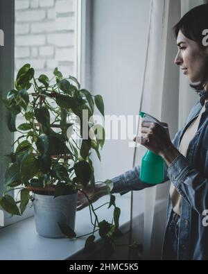 La femme vaporise l'eau du pulvérisateur sur l'usine de la maison Banque D'Images