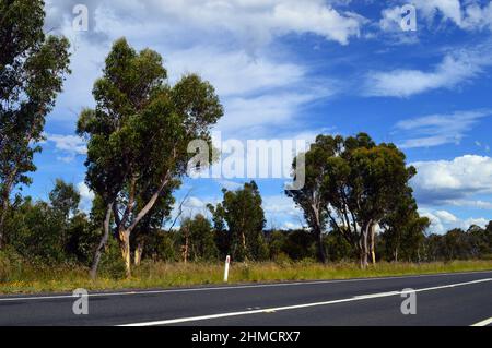 Vue sur la campagne le long de Chifley Drive près de Clarence, Nouvelle-Galles du Sud Banque D'Images