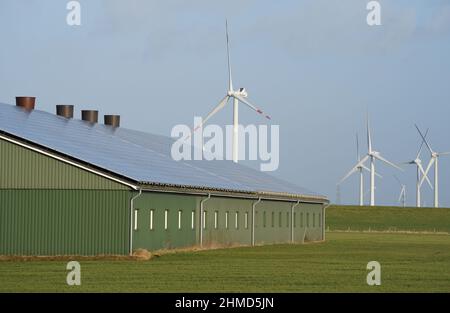 PRODUCTION - 07 février 2022, Schleswig-Holstein, Reußenköge: Les éoliennes se tiennent à côté d'un hall avec des systèmes photovoltaïques sur le toit. Photo: Marcus Brandt/dpa Banque D'Images