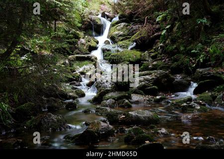 Torrent, Forêt de Bohême, Plzensky kraj, République tchèque Banque D'Images