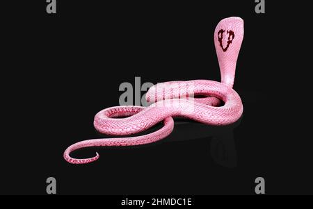 3D Illustration de la couleuvre Cobra à roi Albino isolée sur fond noir, couleuvre Cobra rose ou blanche Banque D'Images