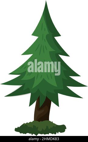Épinette verte dense et réaliste isolée sur fond blanc - illustration vectorielle Illustration de Vecteur