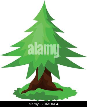 Épinette verte dense et réaliste isolée sur fond blanc - illustration vectorielle Illustration de Vecteur