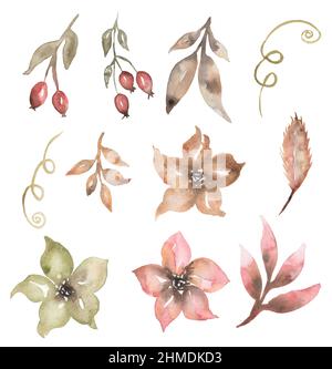 Ensemble d'illustrations de fleurs de boho, fleurs Clipart. Rose chien et feuilles beige, bouquet d'aquarelle, clip art floral rose, fabrication de cartes, logo Banque D'Images