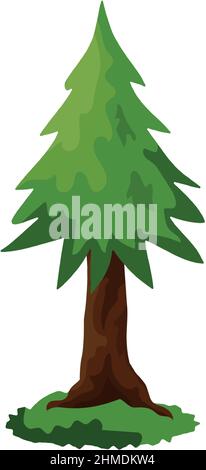 Épinette verte dense et réaliste isolée sur fond blanc - illustration vectorielle Illustration de Vecteur