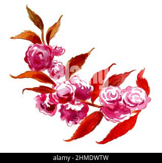 Cerisier en fleur. Dessin à l'encre et aquarelle Banque D'Images