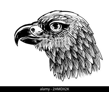 Tête d'oiseau de l'aigle. Dessin noir et blanc Encre Banque D'Images