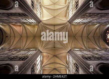 Amiens, Kathedrale notre Dame d’Amiens, Vierungsgewölbe Banque D'Images