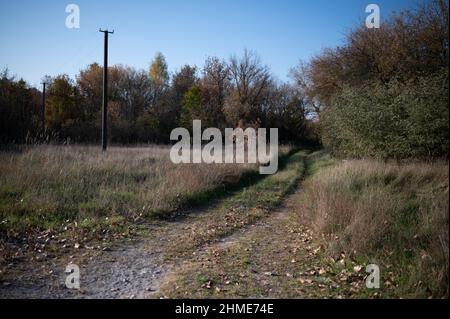 Des maisons abandonnées dans le village de Kupovate, dans la zone d'exclusion près de la centrale nucléaire de Tchernobyl, étaient autrefois habitées par des réinstallations. Banque D'Images