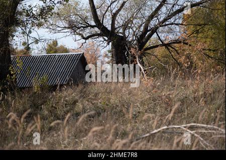 Des maisons abandonnées dans le village de Kupovate, dans la zone d'exclusion près de la centrale nucléaire de Tchernobyl, étaient autrefois habitées par des réinstallations. Banque D'Images