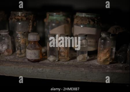 Échantillons de tissus humains et pots de collecte dans la salle d'autopsie de la morgue abandonnée à Pripyat, en Ukraine, près de la centrale nucléaire de Tchernobyl. Banque D'Images