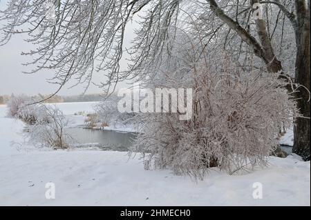 Des arbres givré le long des rives d'une rivière non gelée. Banque D'Images