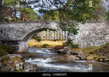 RIVER LUI MAR LODGE ESTATE BRAEMAR SCOTS PINS PINUS SYLVESTRIS ET ANCIEN PONT ROUTIER EN PIERRE SUR LA RIVIÈRE LUI Banque D'Images