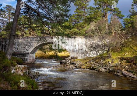 RIVER LUI MAR LODGE ESTATE BRAEMAR SCOTS PINES PINUS SYLVESTRIS ET ANCIEN PONT EN PIERRE SUR LA RIVIÈRE LUI Banque D'Images