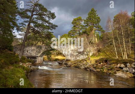 RIVER LUI MAR LODGE ESTATE BRAEMAR SCOTS PINES PINUS SYLVESTRIS ET ANCIEN PONT EN PIERRE SUR LA RIVIÈRE Banque D'Images