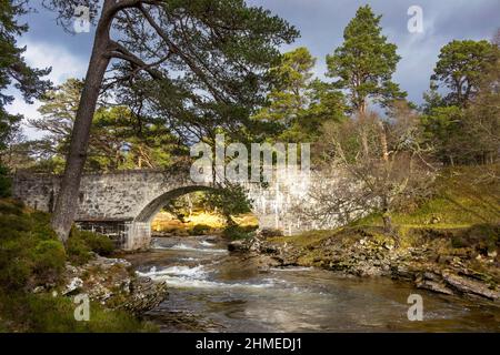 RIVER LUI MAR LODGE ESTATE BRAEMAR SCOTS PINES PINUS SYLVESTRIS ET L'ANCIEN PONT ROUTIER EN PIERRE SUR LA RIVIÈRE Banque D'Images